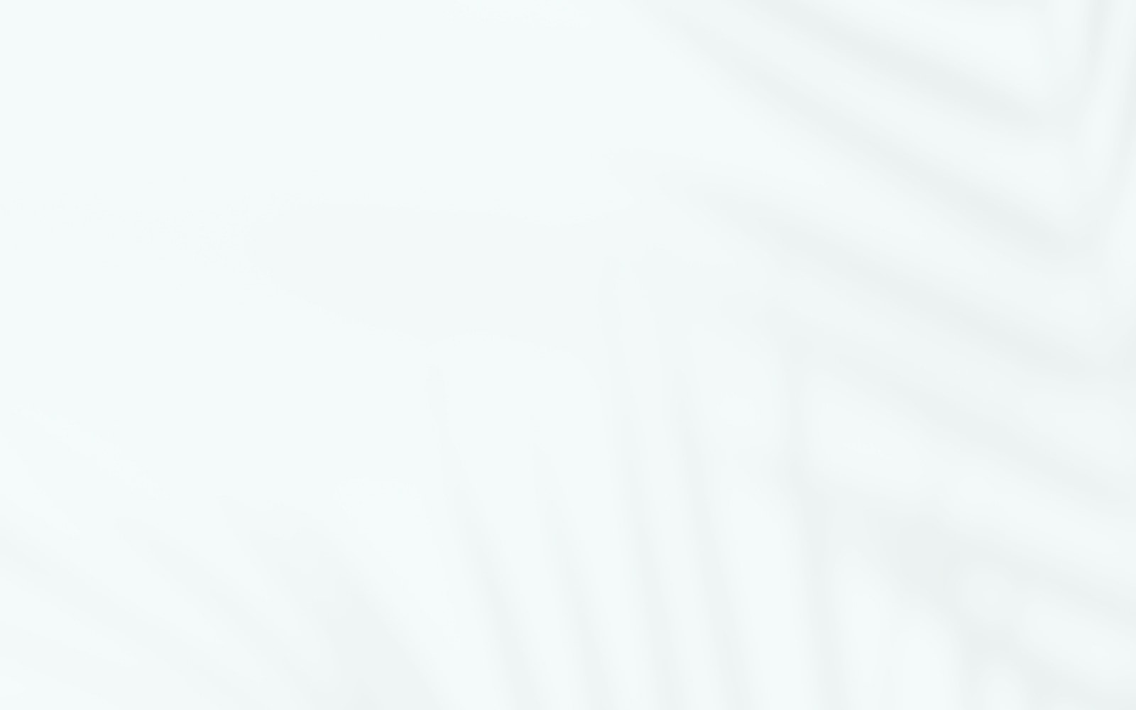 Abstract palm leaves on soft background.