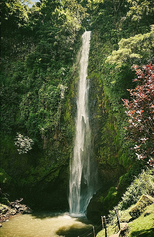 Lush waterfall cascading into serene pool below.