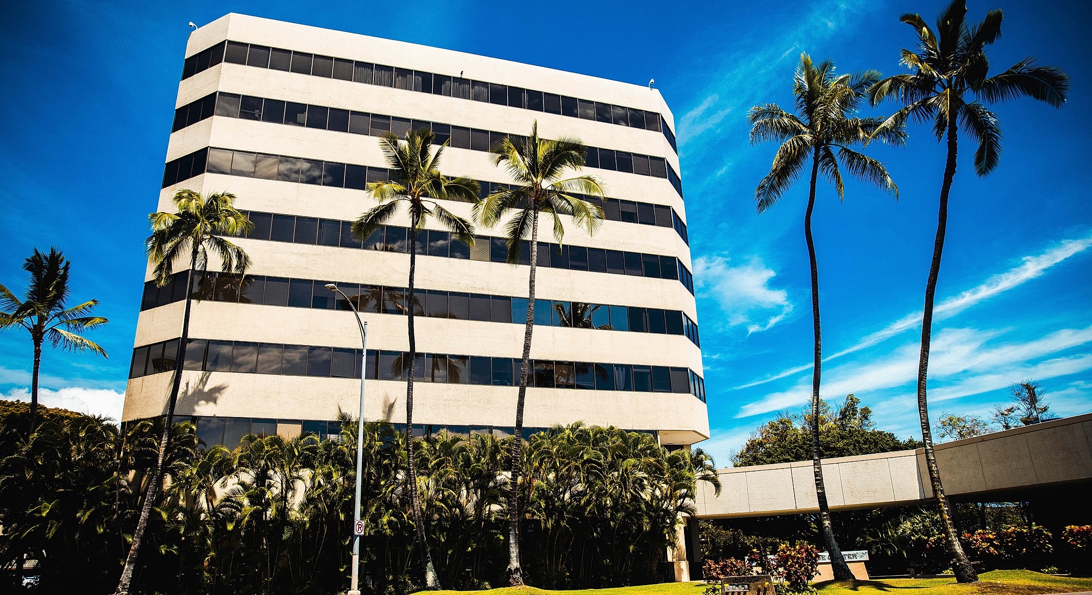 Modern office building with palm trees and blue sky.